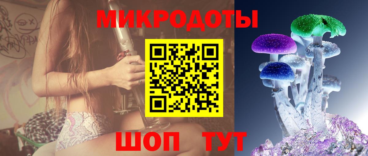 Псилоцибиновые грибы прущие грибы Георгиевск