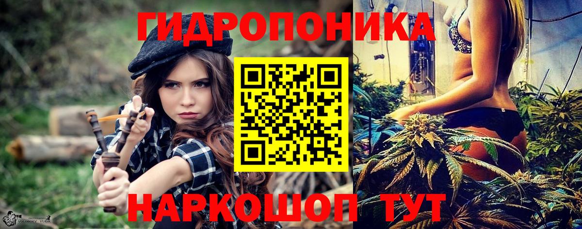 Марихуана гибрид  Вход с VPN  Конопля конопля  Георгиевск  Канабис план 